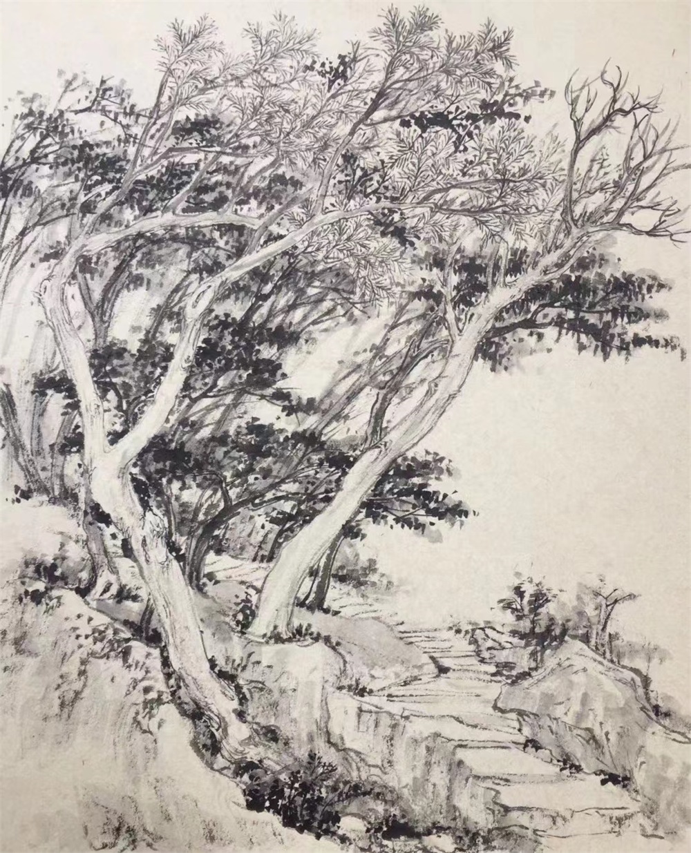 陈文煜1