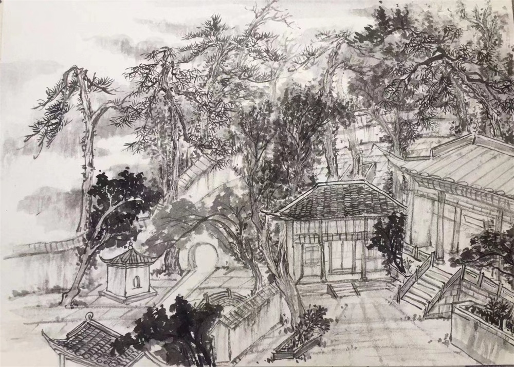 陈文煜6
